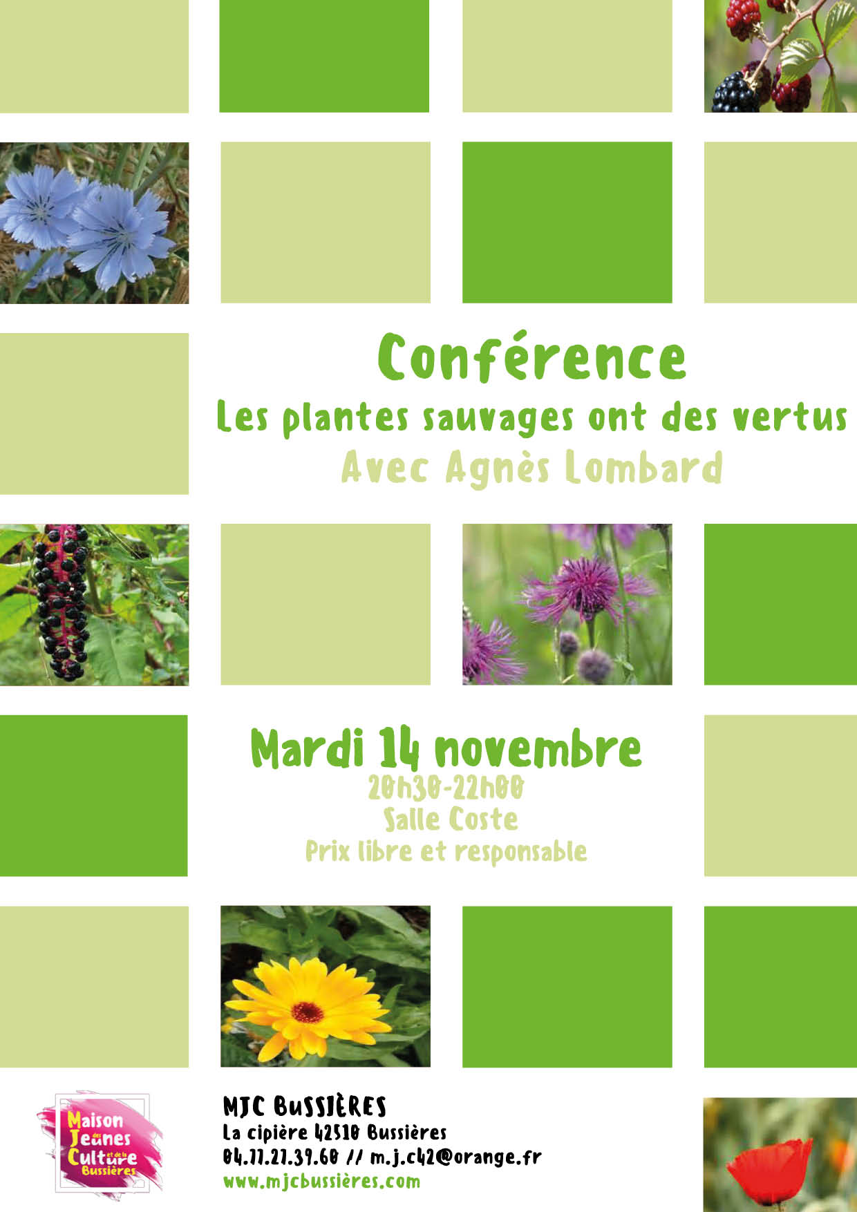 MJC Bussières - Conférence Les plantes sauvages ont des vertus