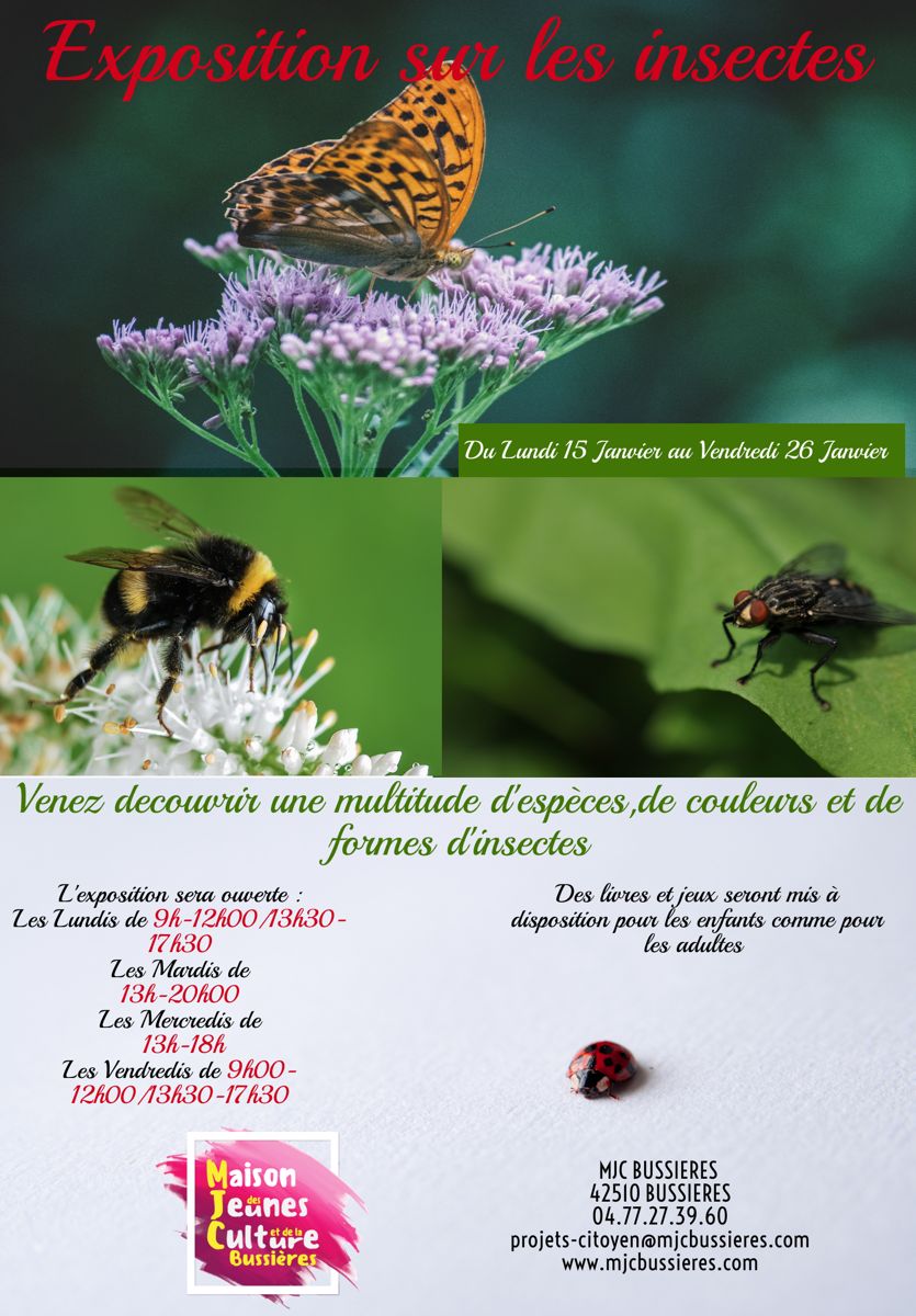 MJC Bussières - Exposition Insectes
