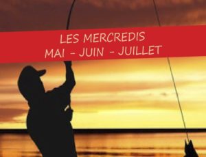 MJC Bussières - Prog Mai Juin Juillet 2019